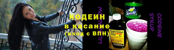 PSILOCYBIN Кукмор