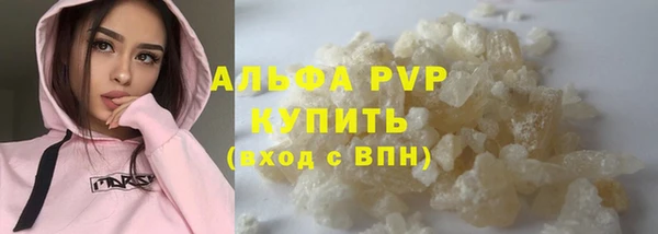 PSILOCYBIN Кукмор