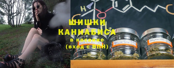PSILOCYBIN Кукмор