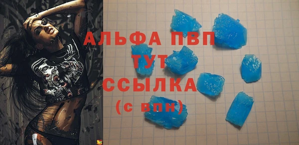 PSILOCYBIN Кукмор